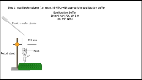 Thumbnail for entry Workflow: DHFR purification using Ni-NTA affinity chromatography