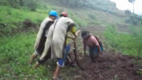 Thumbnail for No solo soy inteligente, Soy agrónomo video Digging Stick