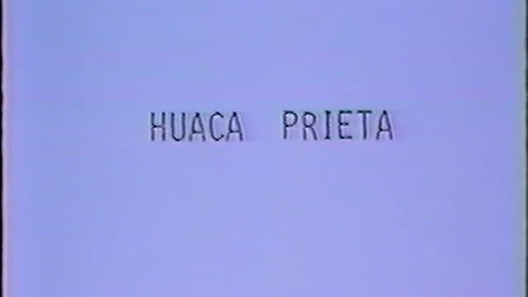 Thumbnail for entry Junius Bird Huaca Prieto Video