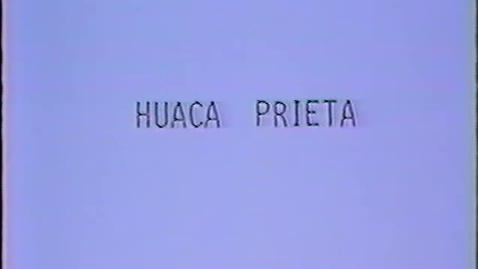 Thumbnail for Junius Bird Huaca Prieto Video