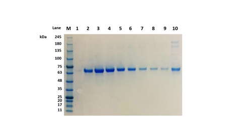 Thumbnail for Module 2 Example 1 - data interpretation