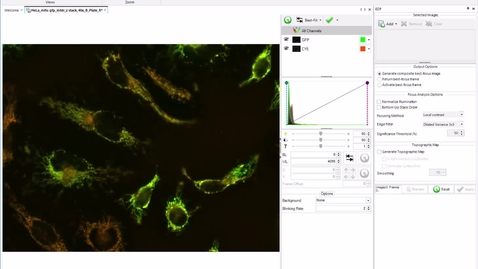 Thumbnail for Celleste tutorial 2 -3D deconvolution 2