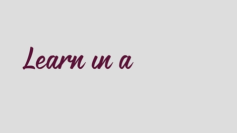 Thumbnail for Learn in a Minute - A2L Tools Section