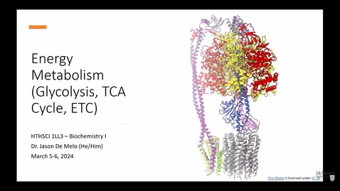 Thumbnail for entry HTHSCI 1LL3 - W2024 - 9B - Energy Metabolism