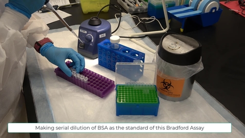 Thumbnail for Bradford assay