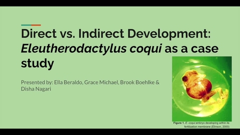 Thumbnail for entry Direct vs. Indirect Development BIO 4ED3 Group Presentation