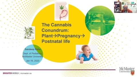Thumbnail for entry The Cannabis Conundrum: Plant to Pregnancy to Postnatal life | Dr. Sandeep Raha | January 19, 2023