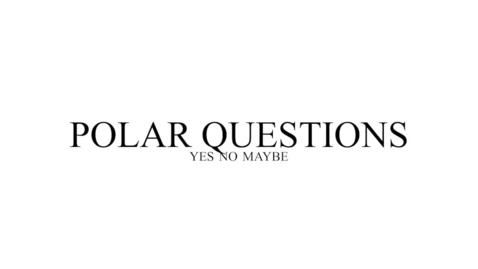 Thumbnail for Polar Questions