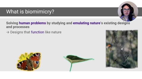Thumbnail for entry Biomimicry, Section 2-1