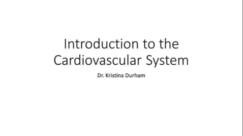 Thumbnail for entry Intro to the Cardiovascular System