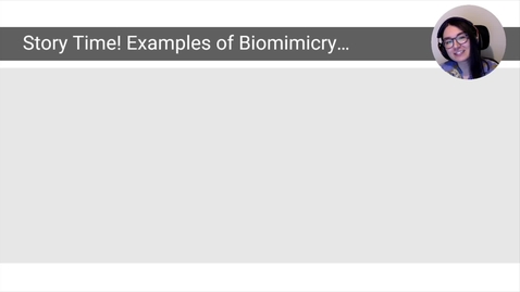 Thumbnail for entry Biomimicry, Section 3-1