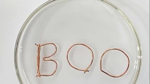 Thumbnail for Boo!  Busted.