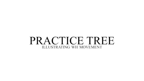 Thumbnail for Practice Tree (WH and Locality)