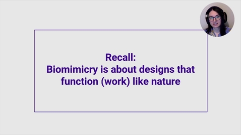 Thumbnail for Biomimicry, Section 2-2