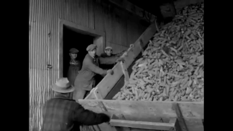 Thumbnail for Collective Documentary - Bromley Armstrong and the Dresden Story-2