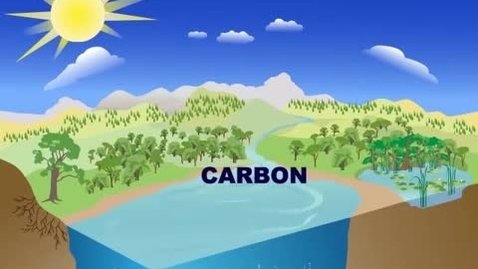 Thumbnail for entry The Carbon Cycle