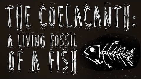 Thumbnail for entry The coelacanth: A living fossil of a fish - Erin Eastwood