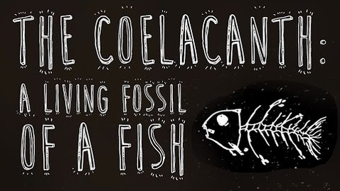Thumbnail for The coelacanth: A living fossil of a fish - Erin Eastwood