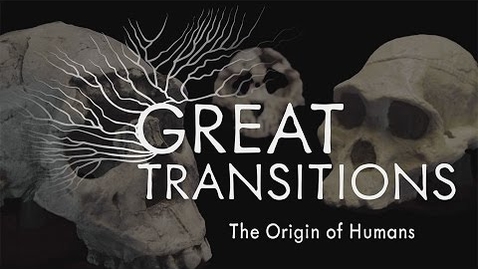 Thumbnail for entry Great Transitions: The Origin of Humans — HHMI BioInteractive Video