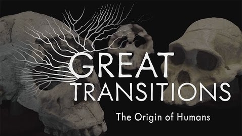 Thumbnail for Great Transitions: The Origin of Humans — HHMI BioInteractive Video