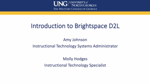 Thumbnail for Introduction to Brightspace D2L