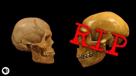 Thumbnail for Why Are We The Only Humans Left?