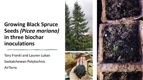 Thumbnail for Biochar Presentation - Tory Frankl and Lauren Lukan