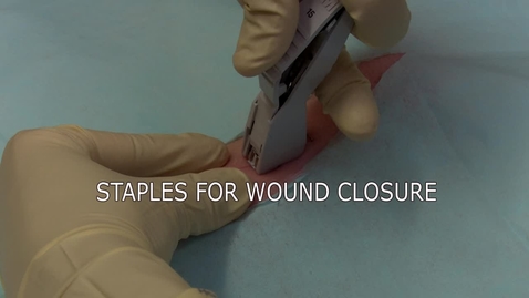 Thumbnail for entry Staples For Wound Closure