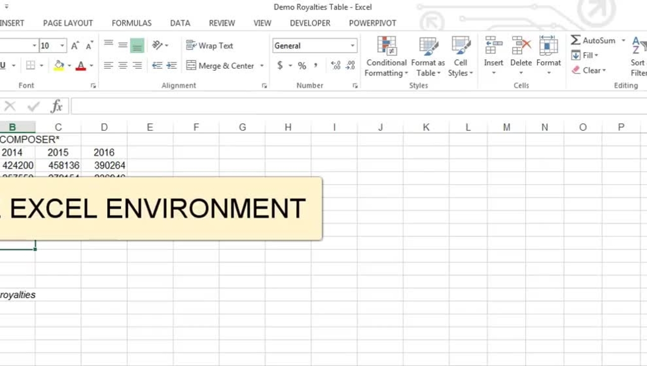 The Excel Environment