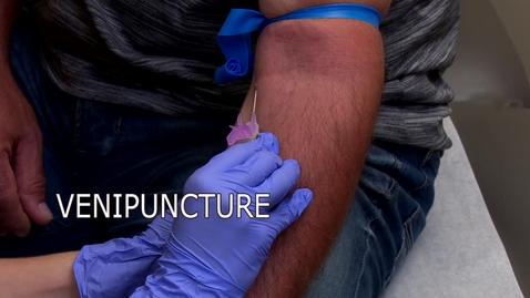 Thumbnail for entry Venipuncture