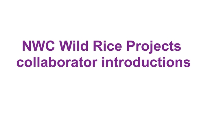 Thumbnail for channel NWC Wild Rice Projects collaborator introductions