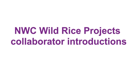 Thumbnail for Wild Rice Intro Video June 2022