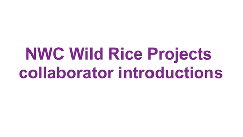 Thumbnail for entry Wild Rice Intro Video June 2022