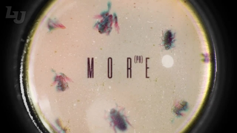 Thumbnail for David Nasser - Superseding, Withholding, Lavishing Love