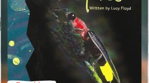 Thumbnail for Fireflies - non-fiction