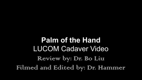 Thumbnail for Palm of the Hand