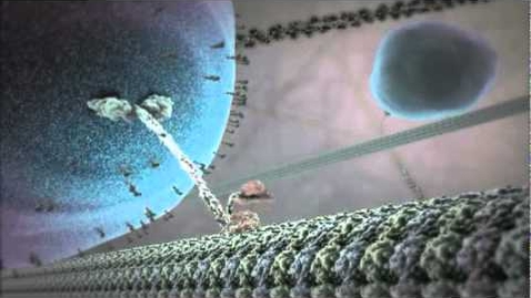 Thumbnail for The Inner Life of the Cell Animation