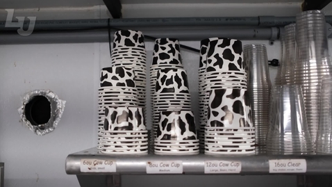 Thumbnail for New Menu at Moo Moo's Ice Cream