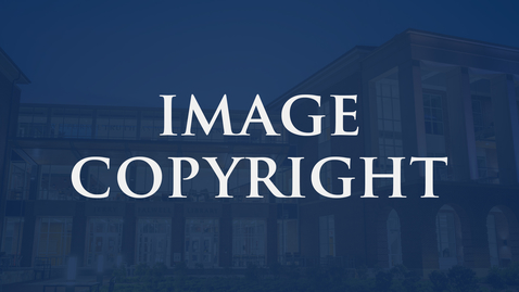 Thumbnail for Image Copyright