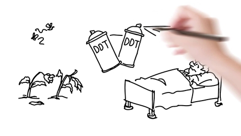 Thumbnail for Hazard, Risk &amp; Safety - Understanding Risk Assessment, Management and Perception