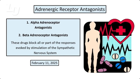 Thumbnail for MHDI - Adrenergic Antagonists (Lecture - Dr. J. Martin)