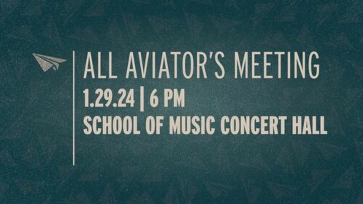 Thumbnail for channel All Aviator's Meetings