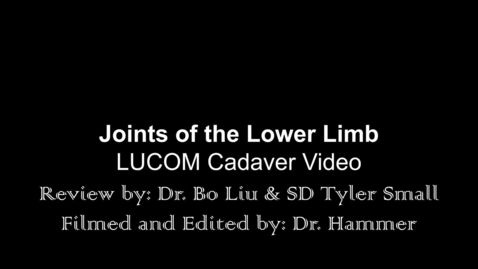 Thumbnail for Joints of the Lower Limb