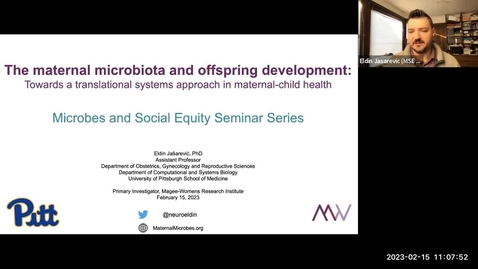 Thumbnail for entry “The maternal microbiota and offspring development: Towards a translational systems approach in maternal-child health.”, Dr. Eldin Jašarević.