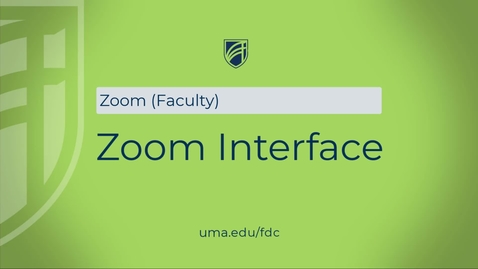 Thumbnail for entry Zoom Interface