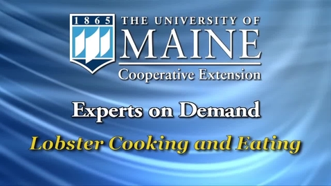 Thumbnail for Lobster Cooking and Eating