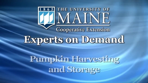 Thumbnail for How to Harvest and Store Pumpkins