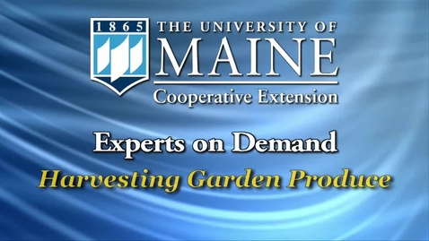 Thumbnail for Harvesting Garden Produce
