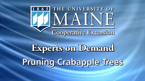 Thumbnail for entry How to Prune a Crabapple Tree