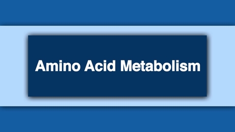 Thumbnail for Amino Acid Metabolism
